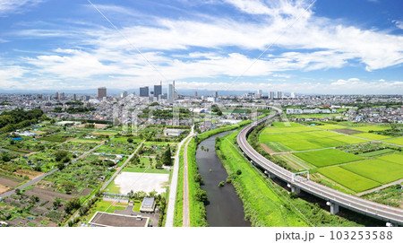 「埼玉県」ドローンで撮影した夏空のと沼田んぼの風景 103253588