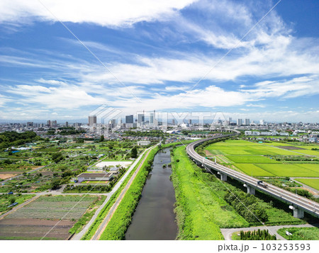 「埼玉県」ドローンで撮影した夏空のと沼田んぼの風景 103253593