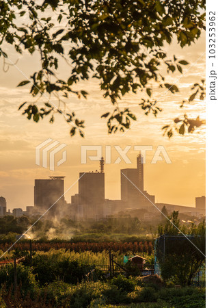 「埼玉県」辺りをオレンジ色に染める見沼田んぼの夕景 103253962