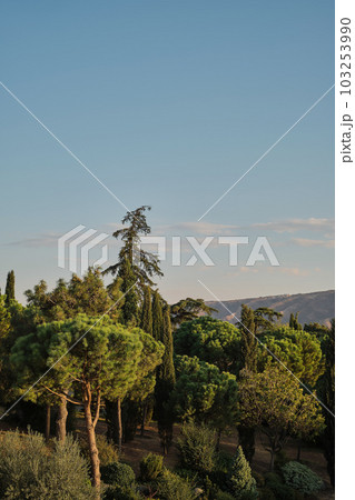 Park in the rays of the setting sun, vertical frame, the idea of park design. Italian style park 103253990