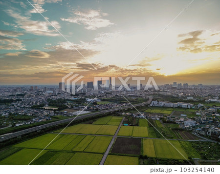 「埼玉県」ドローンで見沼田んぼの夕景を空撮 「埼玉県」ドローンで見沼田んぼの夕景を空撮 103254140