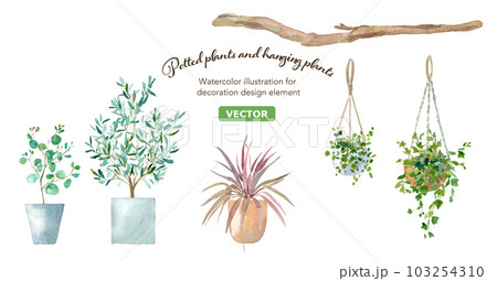 鉢植え植物とハンギングプランツの水彩イラスト。ベクター。 鉢植え植物とハンギングプランツの水彩イラスト。ベクター。 103254310