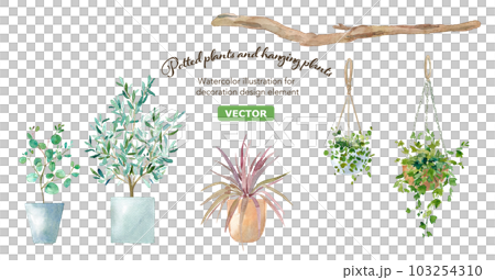 盆栽植物和懸掛植物的水彩插圖。向量。 103254310