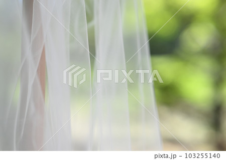 結婚式の当日に着る花嫁の衣装 結婚式の当日に着る花嫁の衣装 103255140