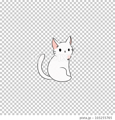 Cat pet animal kitty gray white friendship. My cat 103255765