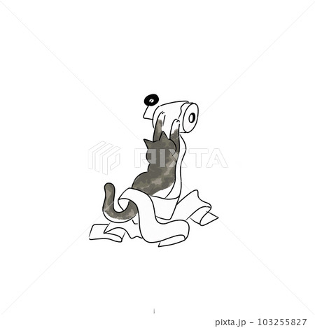 Cat pet animal kitty gray white friendship. My cat 103255827