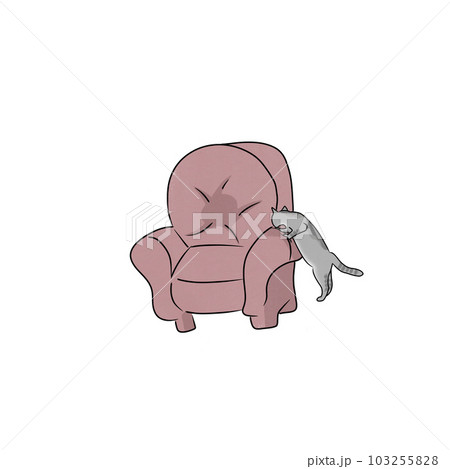 Cat pet animal kitty gray white friendship. My cat Cat pet animal kitty gray white friendship. My cat 103255828