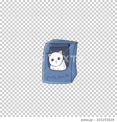 Cat pet animal kitty gray white friendship. My cat Cat pet animal kitty gray white friendship. My cat 103255829