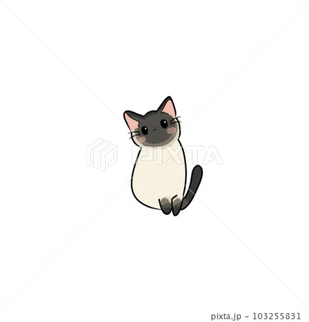 Cat pet animal kitty gray white friendship. My cat Cat pet animal kitty gray white friendship. My cat 103255831