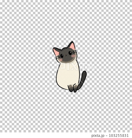 Cat pet animal kitty gray white friendship. My cat Cat pet animal kitty gray white friendship. My cat 103255831