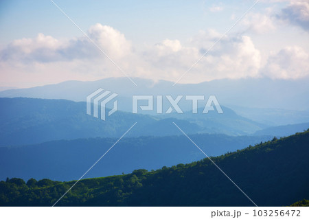 nature scenery with mountains and valleys. landscape background with forested rolling hills in summer 103256472