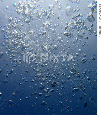 泡と消える 103256544