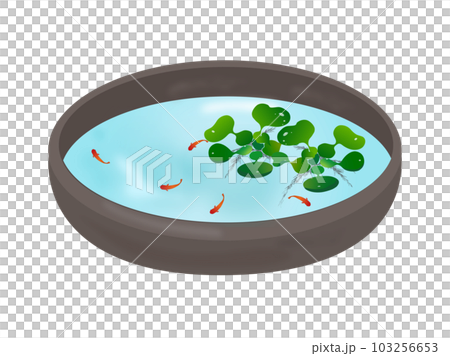 Phyllanthus and red medaka in a bowl Phyllanthus and red medaka in a bowl 103256653