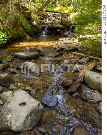 Small river flowing rapidly and vividly through its wild stony valley Small river flowing rapidly and vividly through its wild stony valley 103257954