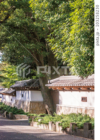 久伊豆神社 久伊豆神社 103258230