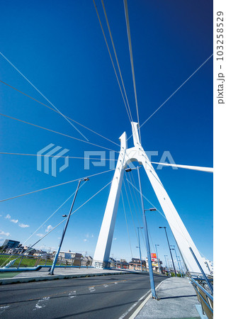 しらこばと橋 103258529