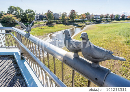 しらこばと橋 103258531