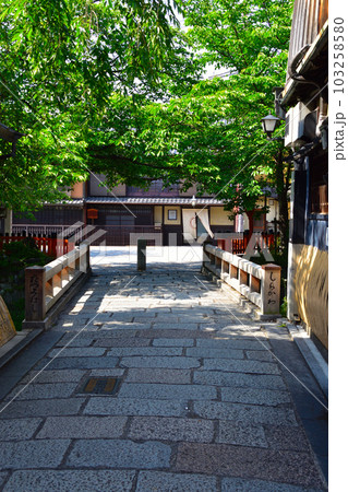春 京都 祇園 春 京都 祇園 103258580