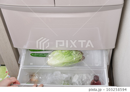 【野菜室からサニーレタスを出す主婦】 103258594