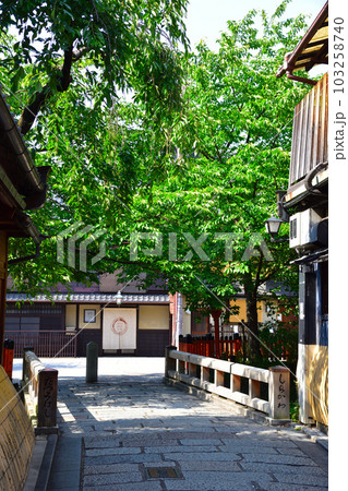 春 京都 祇園 春 京都 祇園 103258740