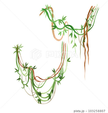 Jungle creepers hand drawn in green and brown watercolor on a white background. Suitable for printing on fabric and paper, for the design of book illustrations and the interior of a children's room 103258807