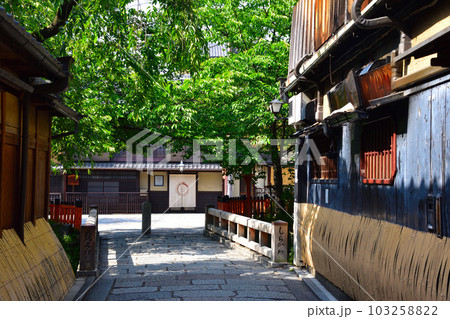 春 京都 祇園 春 京都 祇園 103258822