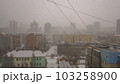 Spring blizzard  103258900