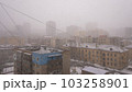 Snowstorm 103258901