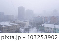 blizzard 103258902
