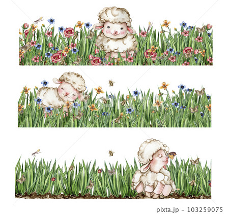 White fluffy sheep sitting in the field of grass with flowers and butterflies. Watercolor hand drawn illustration of farm baby animal . Perfect for greetings card, poster, fabric pattern. 103259075