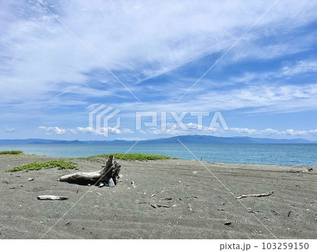 流木と海 流木と海 103259150