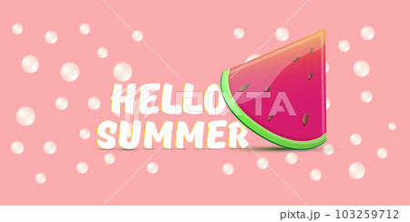 Vector Hello Summer Beach Party horizontal banner Design template with fresh watermelon slice isolated on pink background. Hello summer concept label or poster with fruit and typographic text. 103259712