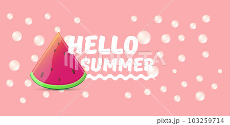 Vector Hello Summer Beach Party horizontal banner Design template with fresh watermelon slice isolated on pink background. Hello summer concept label or poster with fruit and typographic text. 103259714