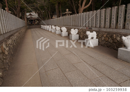保久良神社 保久良神社 103259938