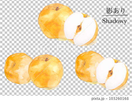 Juicy pear watercolor illustration material set with three-dimensional shadow 103260168