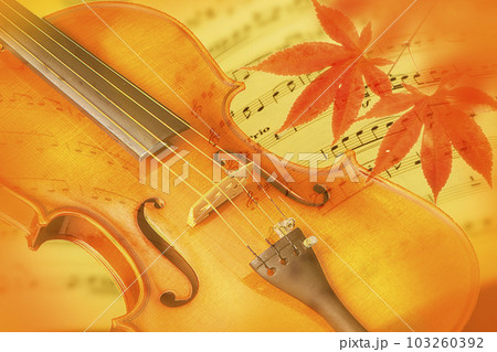 バイオリン　楽譜　モミジ 103260392
