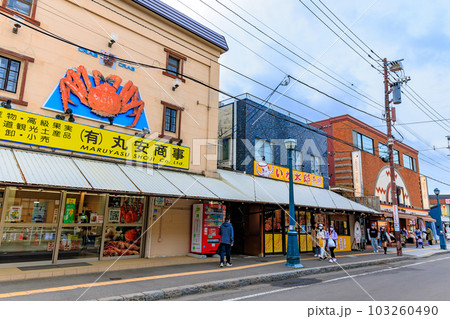 北海道　小樽市　小樽堺町通り商店街 103260490