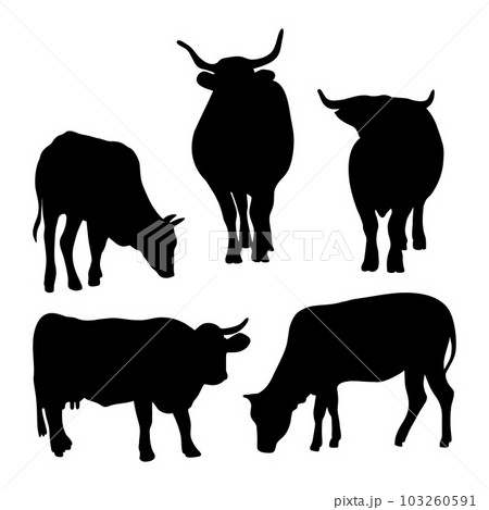 Collection silhouettes of cattle. Domestic farm animals - bull, cow and ox. Vector illustration. Isolated hand drawings animals on white background. Collection silhouettes of cattle. Domestic farm animals - bull, cow and ox. Vector illustration. Isolated hand drawings animals on white background. 103260591
