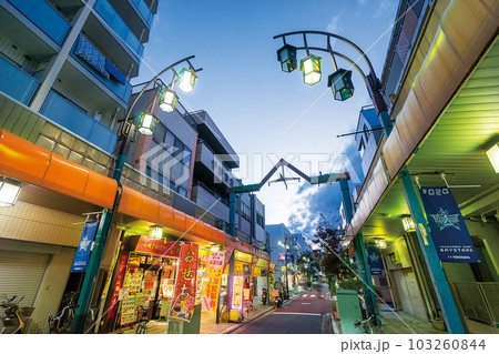 藤棚一番街 103260844