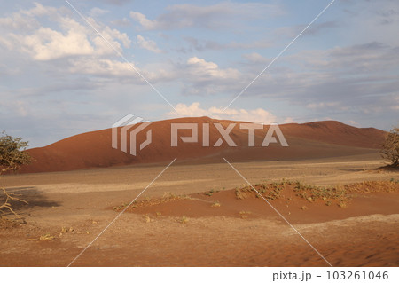 【ナミビア】ナミブ砂漠 - Dune45 103261046