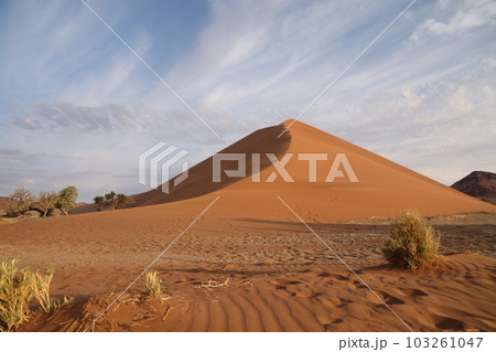 【ナミビア】ナミブ砂漠 - Dune45 103261047