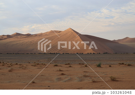 【ナミビア】ナミブ砂漠 - Dune45 103261048