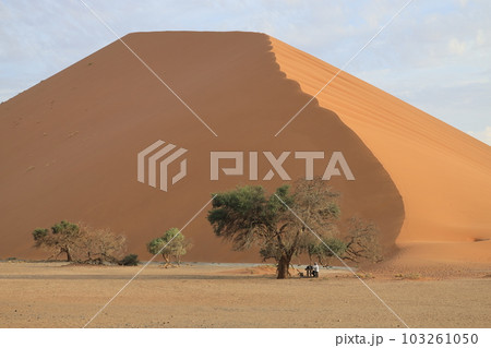 【ナミビア】ナミブ砂漠 - Dune45 103261050
