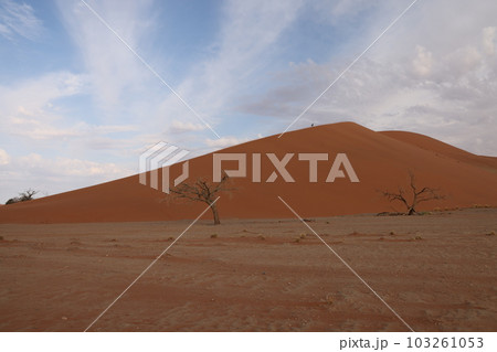 【ナミビア】ナミブ砂漠 - Dune45 【ナミビア】ナミブ砂漠 - Dune45 103261053