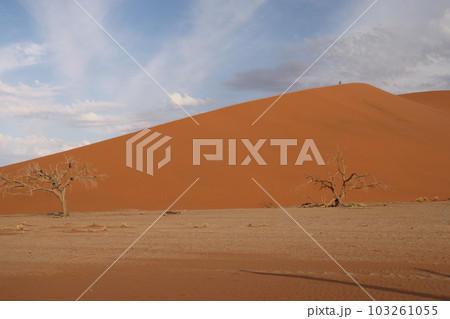 【ナミビア】ナミブ砂漠 - Dune45 103261055