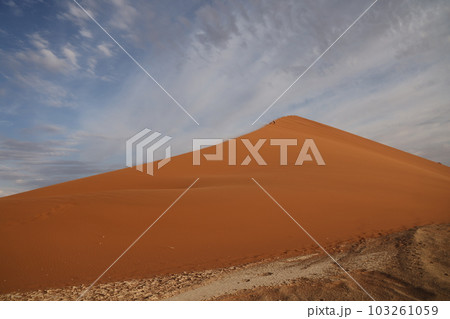 【ナミビア】ナミブ砂漠 - Dune45 【ナミビア】ナミブ砂漠 - Dune45 103261059