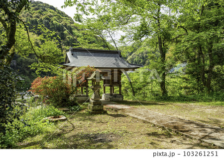 八雲　田村神社　金田大明神　随身門　島根県松江市 103261251