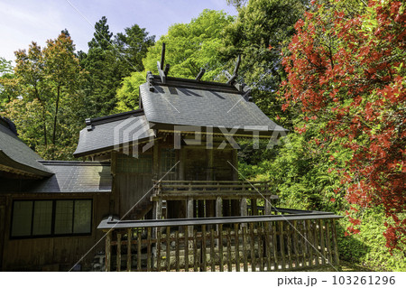 八雲　田村神社　金田大明神　本殿　島根県松江市 103261296