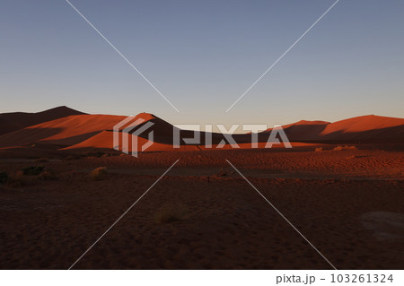 【ナミビア】ナミブ砂漠 - Sossusvlei 【ナミビア】ナミブ砂漠 - Sossusvlei 103261324