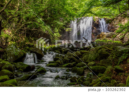 栃木県那須郡那須町　夏の乙女の滝 103262302